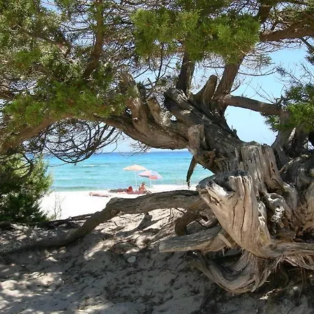Aparthotel Con Piscina A A 1500 M Dal Mare
