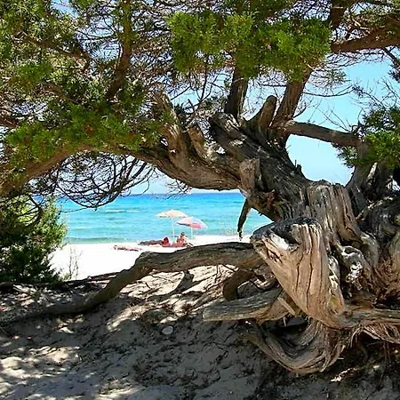 Bouganvillage